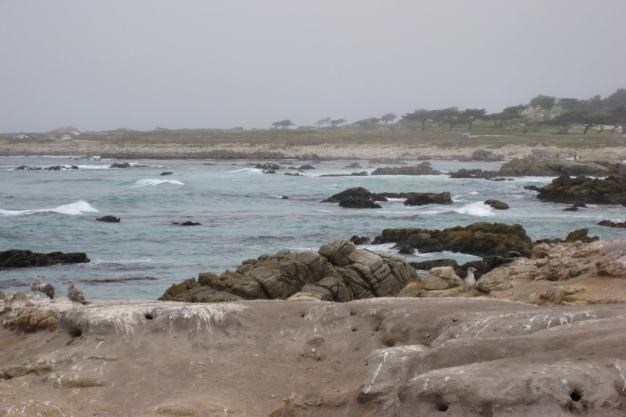 ../image/17 mile drive 4.jpg